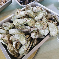 69视频下载管理中心